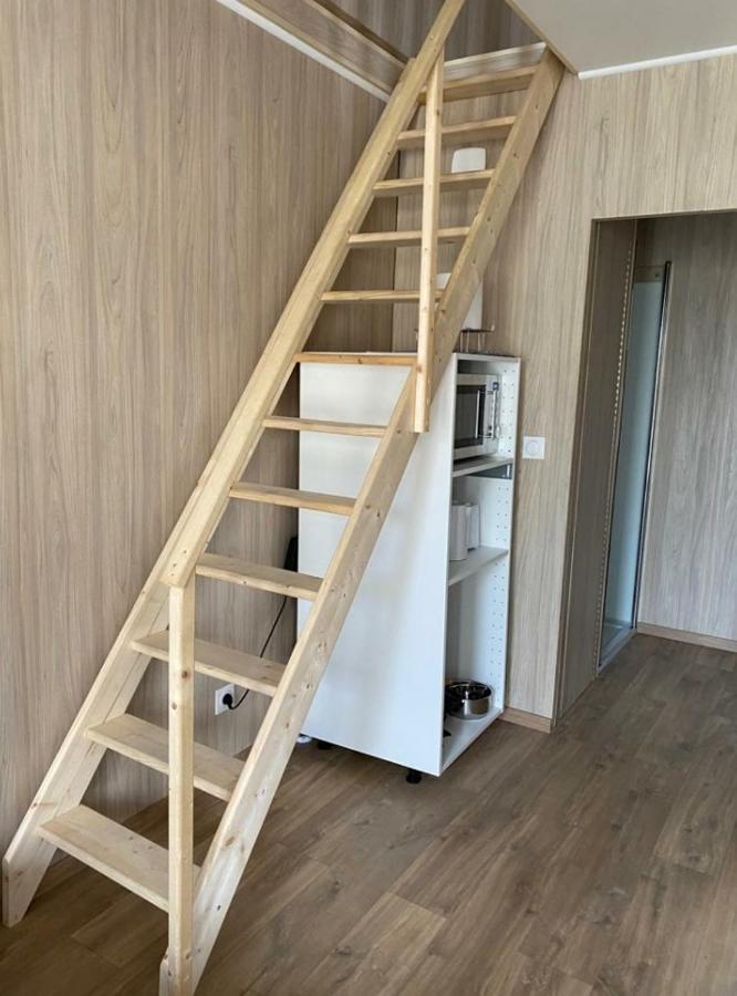 Duplex Atypique En Bois Entre Ville Et Verdures La Chapelle-Saint-Mesmin Eksteriør billede