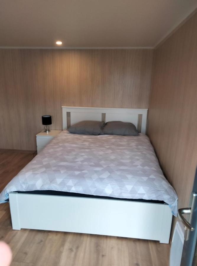 Duplex Atypique En Bois Entre Ville Et Verdures La Chapelle-Saint-Mesmin Eksteriør billede